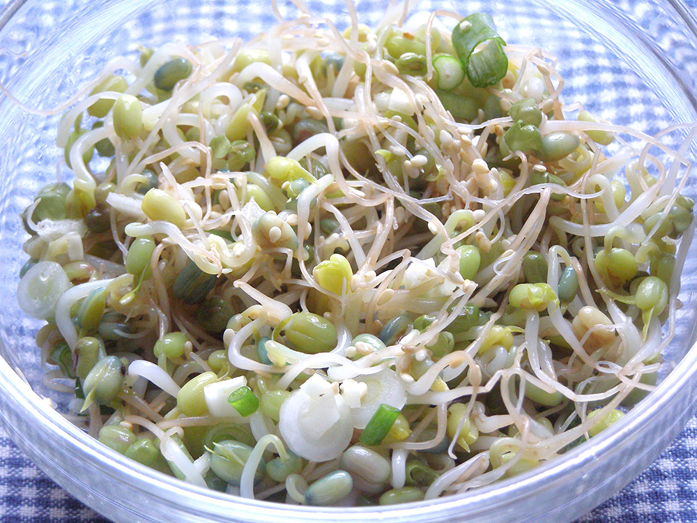 Mung Bean Sprout Salad