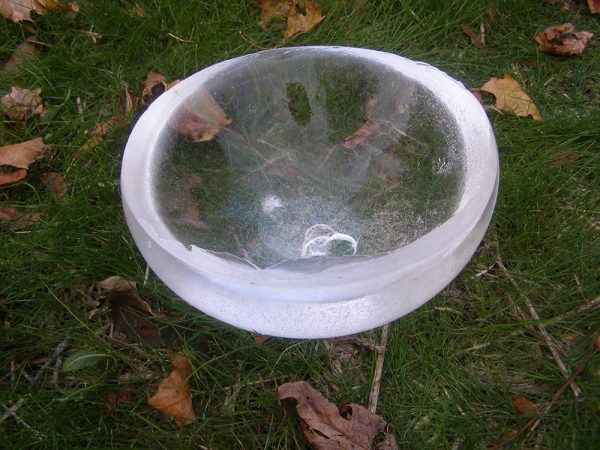 bowl made of ice - Suzanne Trevellyan