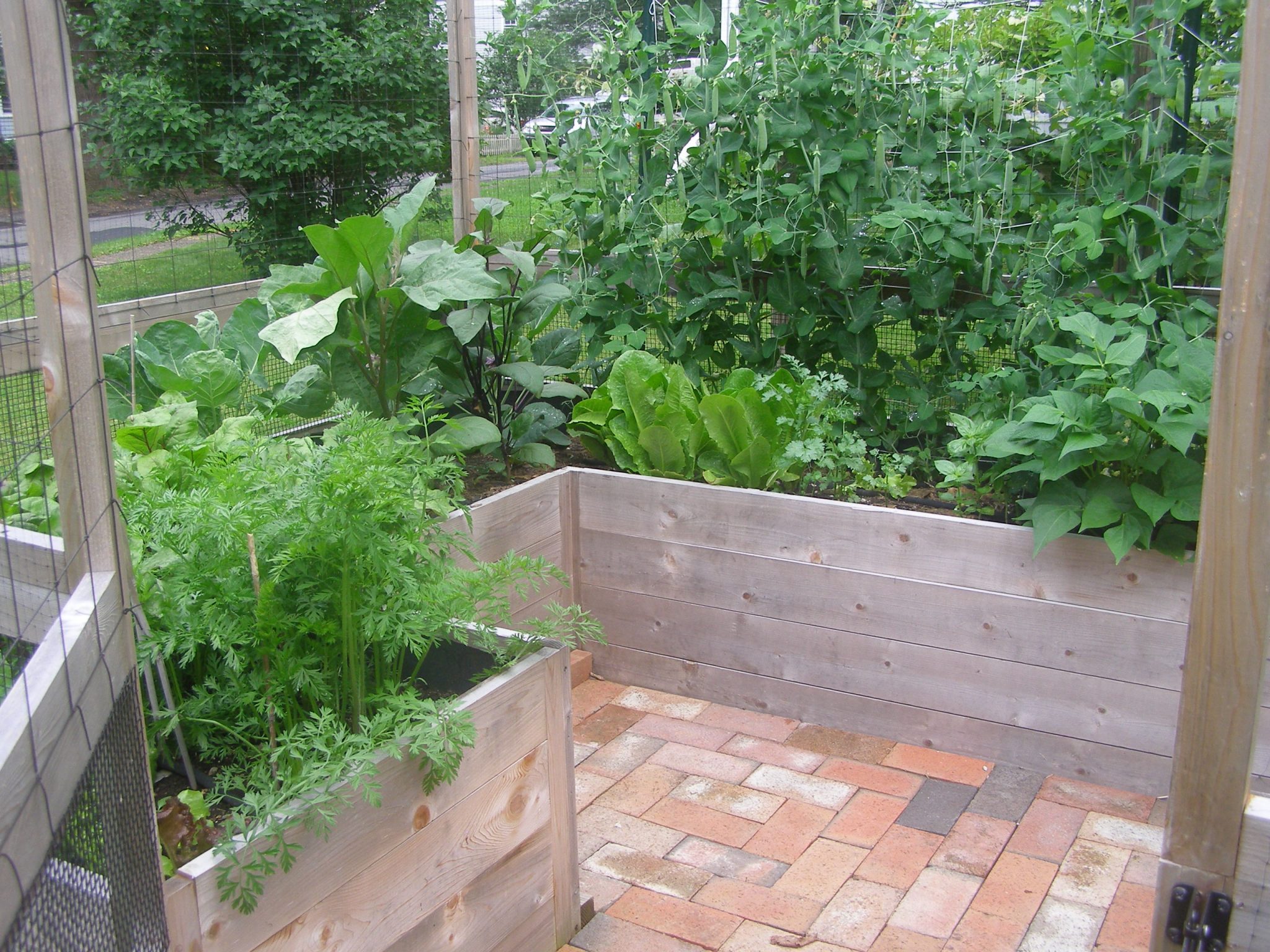 Around The Garden Roll Your Bones, Deck Vegetable Garden Kit